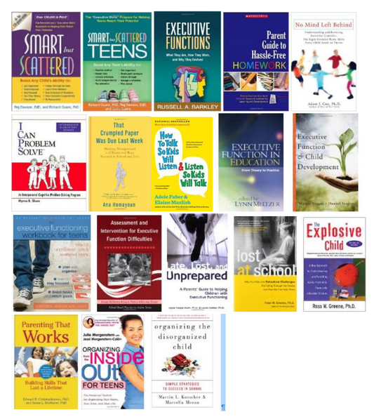 Books Resources on Executive Function